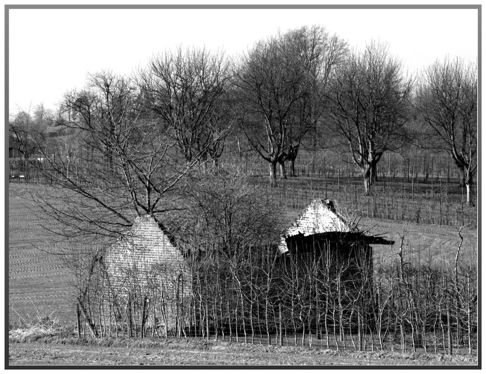 casa transparente