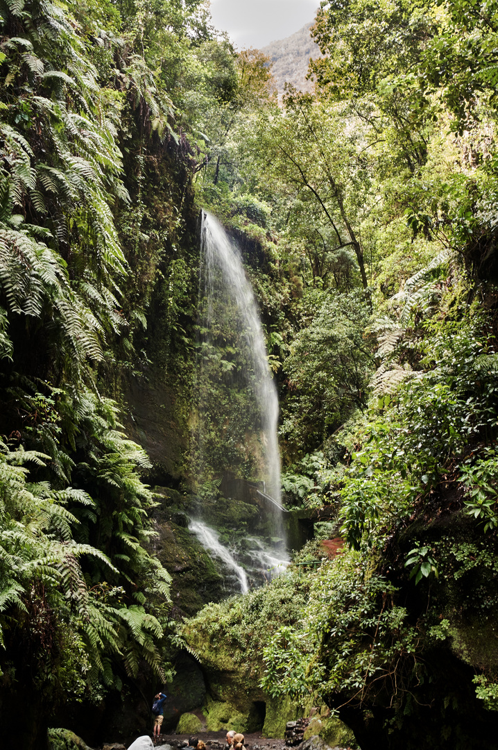 Casada de Los Tilos