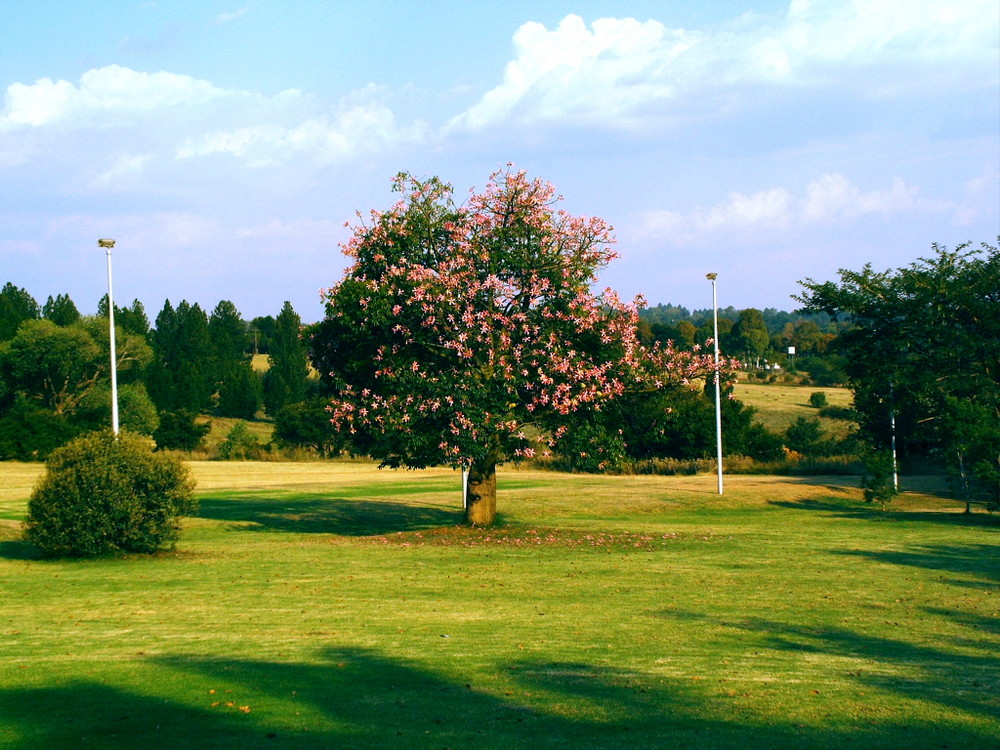 Casalinga Park