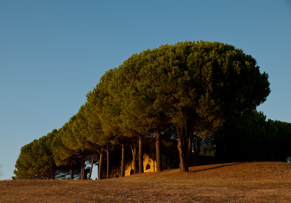 Casalvecchio im Abendlicht (Toskana)