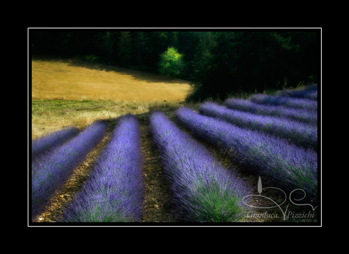 Casalvento - Tuscany 2010