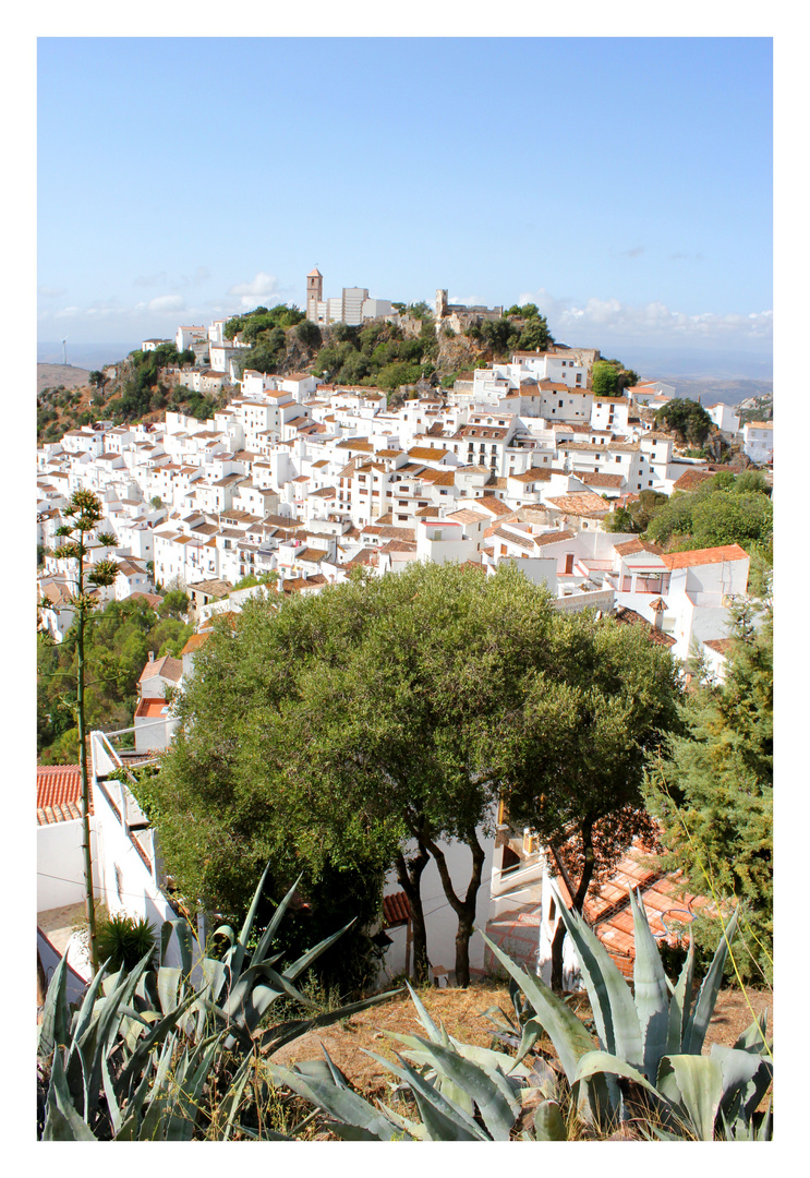 Casares