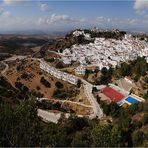 Casares