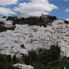 Casares