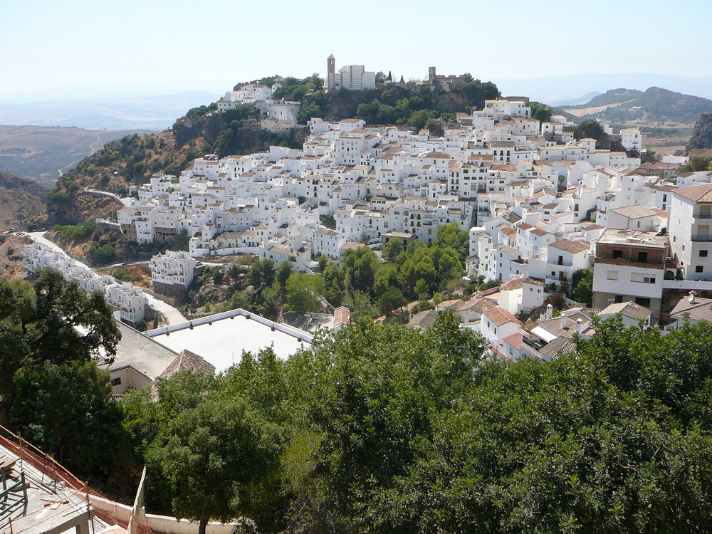 Casares