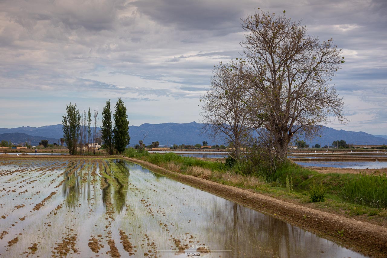 Casas reflejos Delta del Ebro