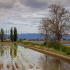 Casas reflejos Delta del Ebro