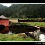 Cascada con puente