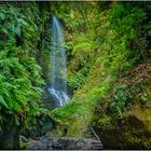 Cascada de Los Tilos