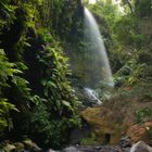 CASCADA DE LOS TILOS. (ISLA de LA PALMA / CANARIAS ) . Dedicada a FLOR RODRIGUEZ TORRES.