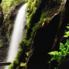 CASCADA DE LOS TILOS. (LA PALMA) . Dedicada a ANTONIO CALVO ARRANZ..