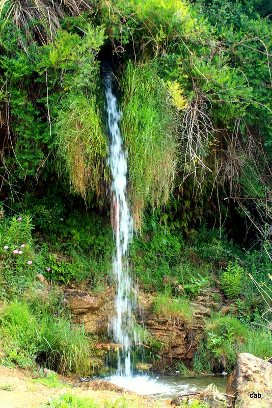 cascada de padules