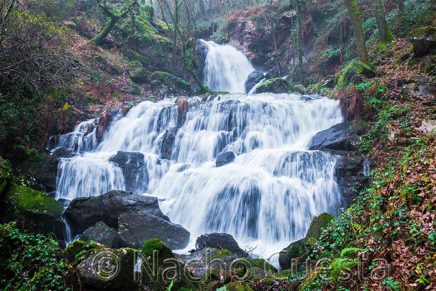 CASCADA DE REXEDOIRO I