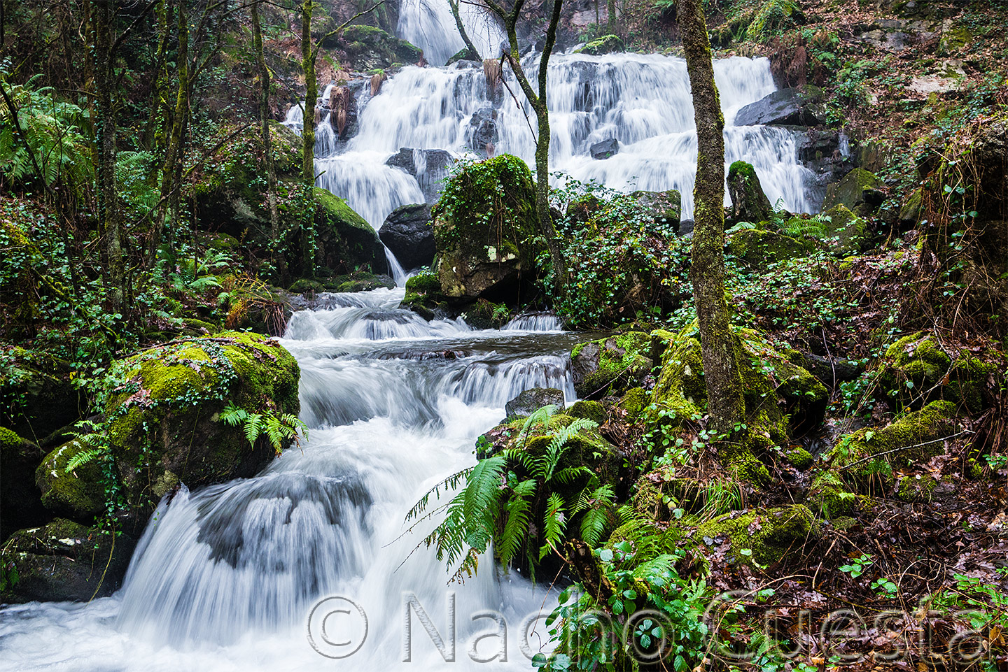 CASCADA DE REXEDOIRO II