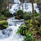 CASCADA DE REXEDOIRO II