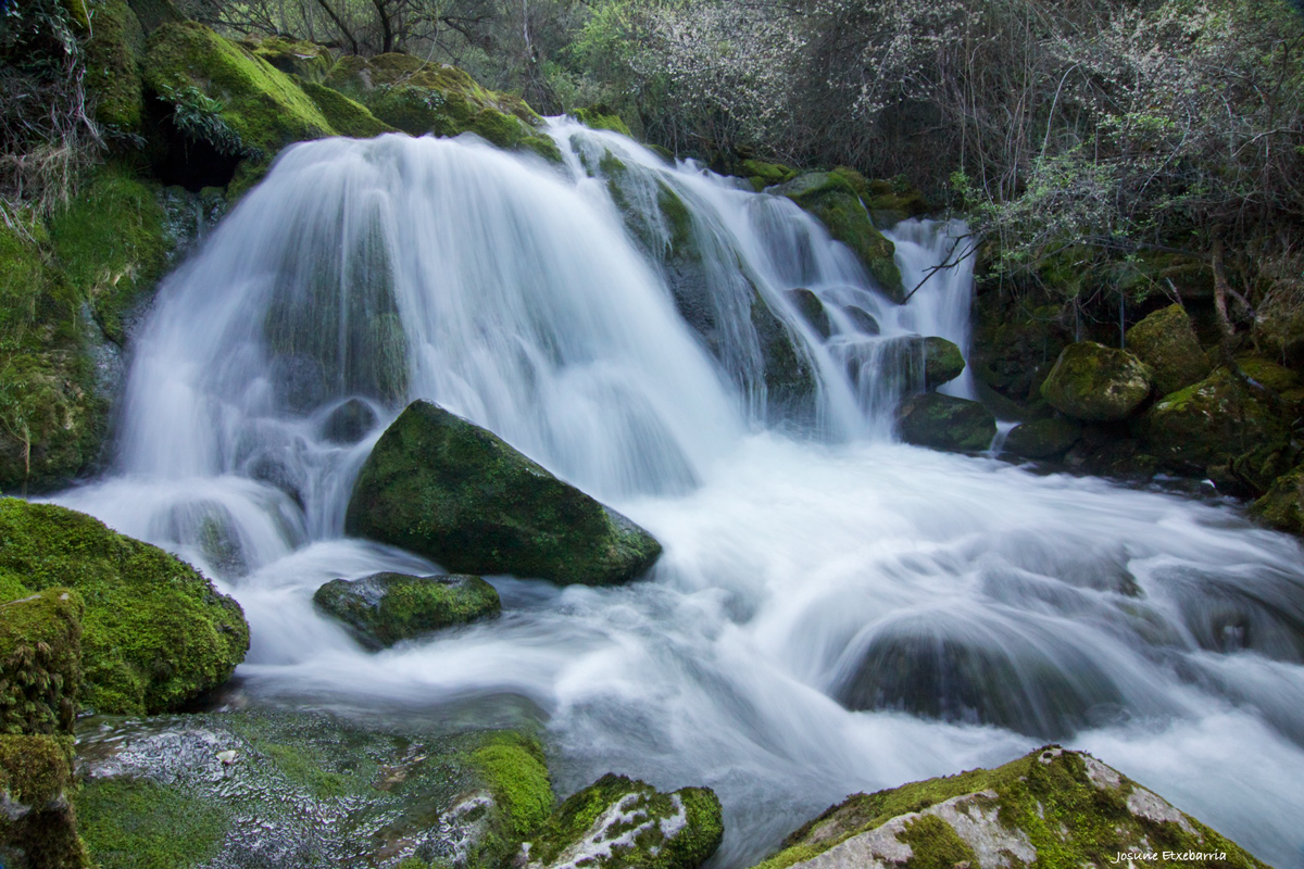 CASCADA (Dedicada a AMADO CALVO)