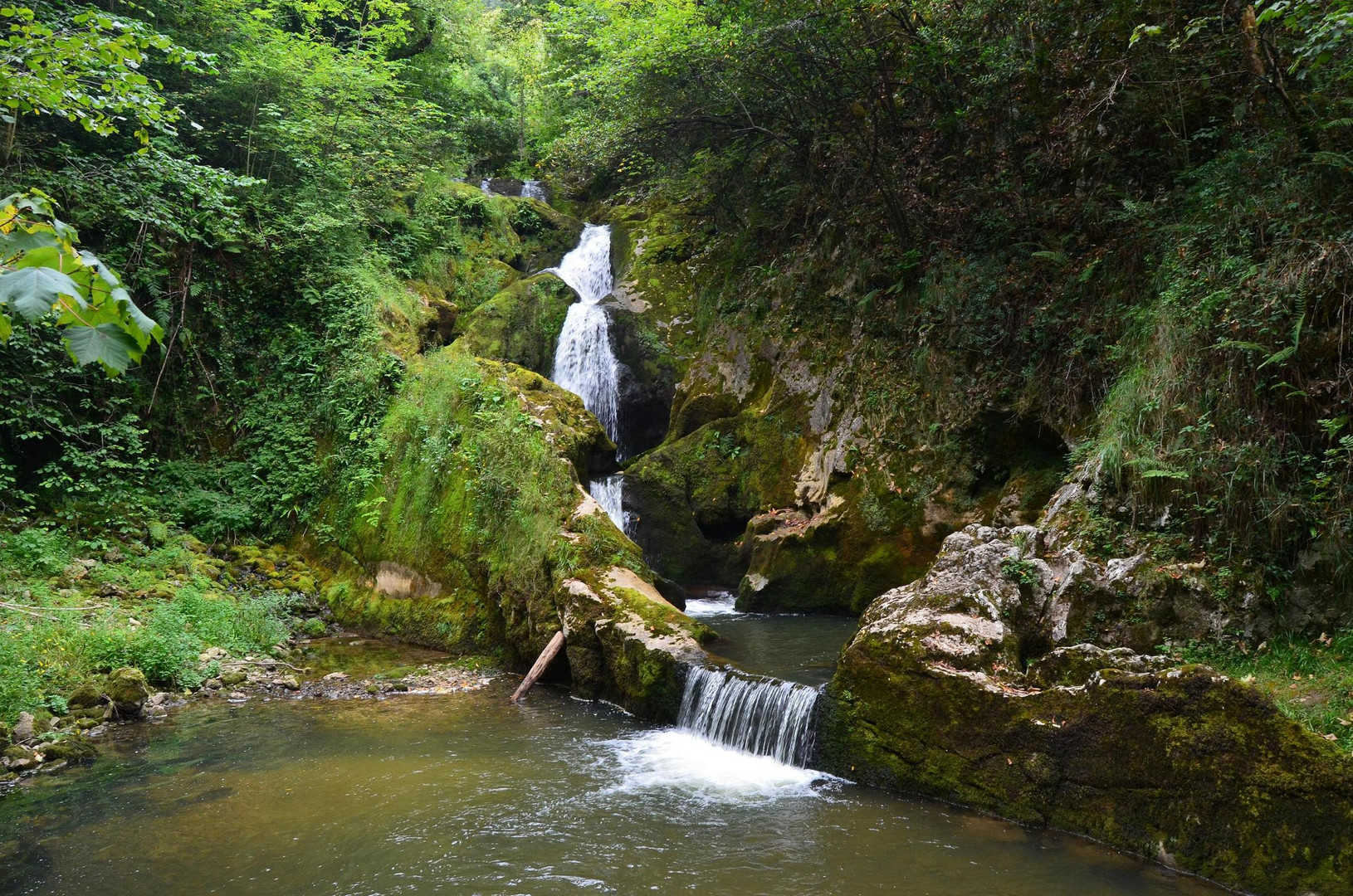 Cascada en el Bosque