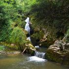 Cascada en el Bosque