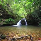 Cascada en el rio Riensena