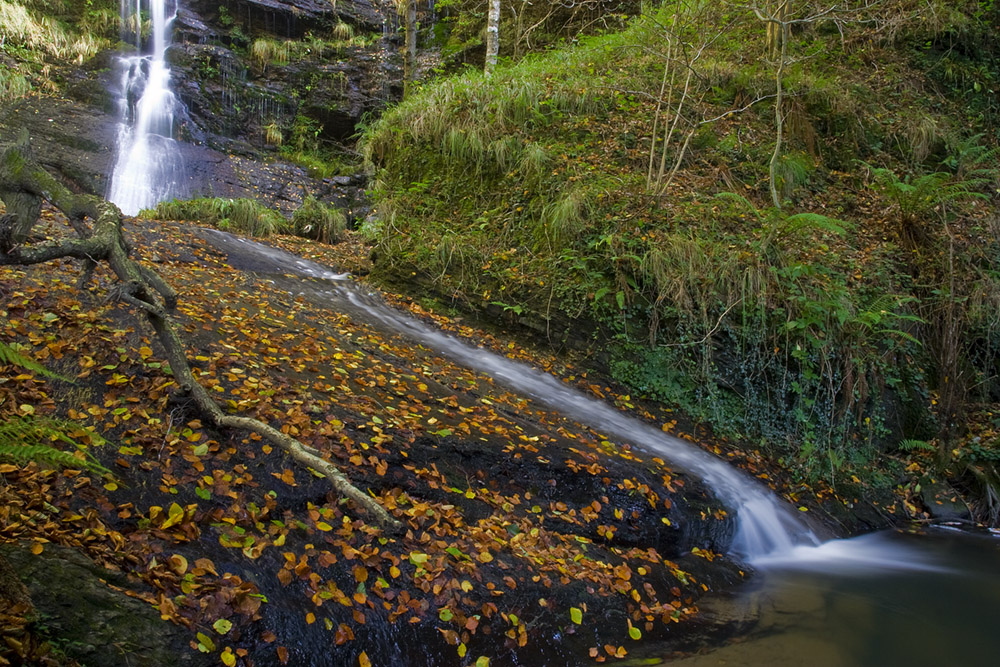 Cascada en otoño