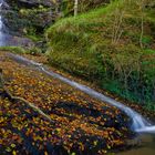 Cascada en otoño