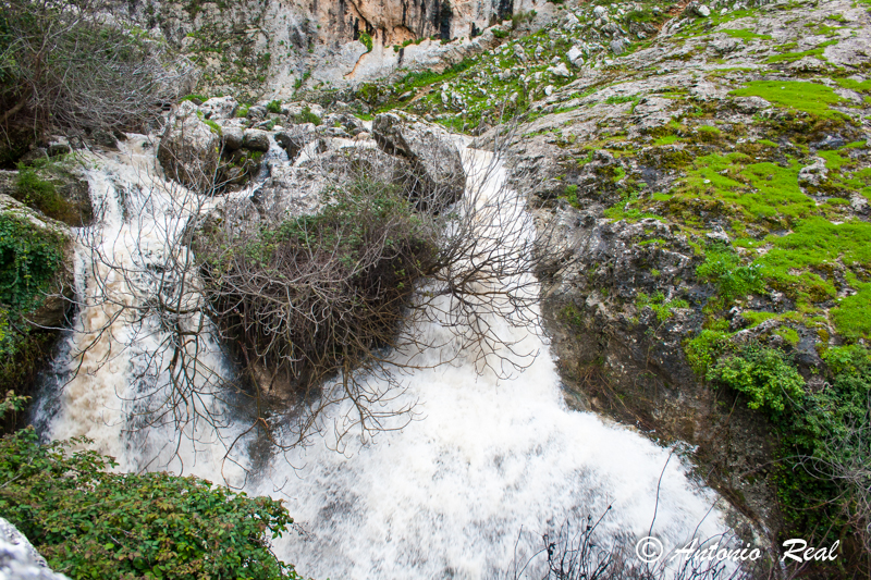 Cascada en Rio Bailon. (Zuheros)