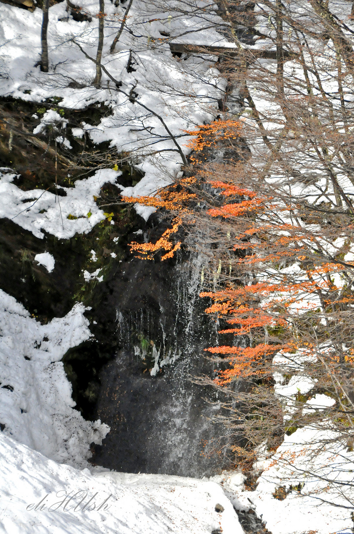 Cascada helada