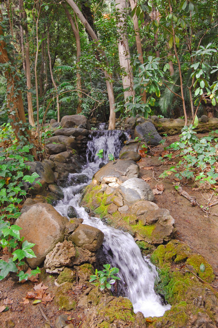 Cascada Parque la Concepcion