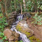 Cascada Parque la Concepcion