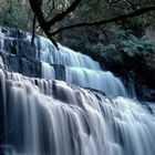 cascada purakanui NZ 2