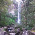 CASCADA SALTO ENCANTADO 60 m.