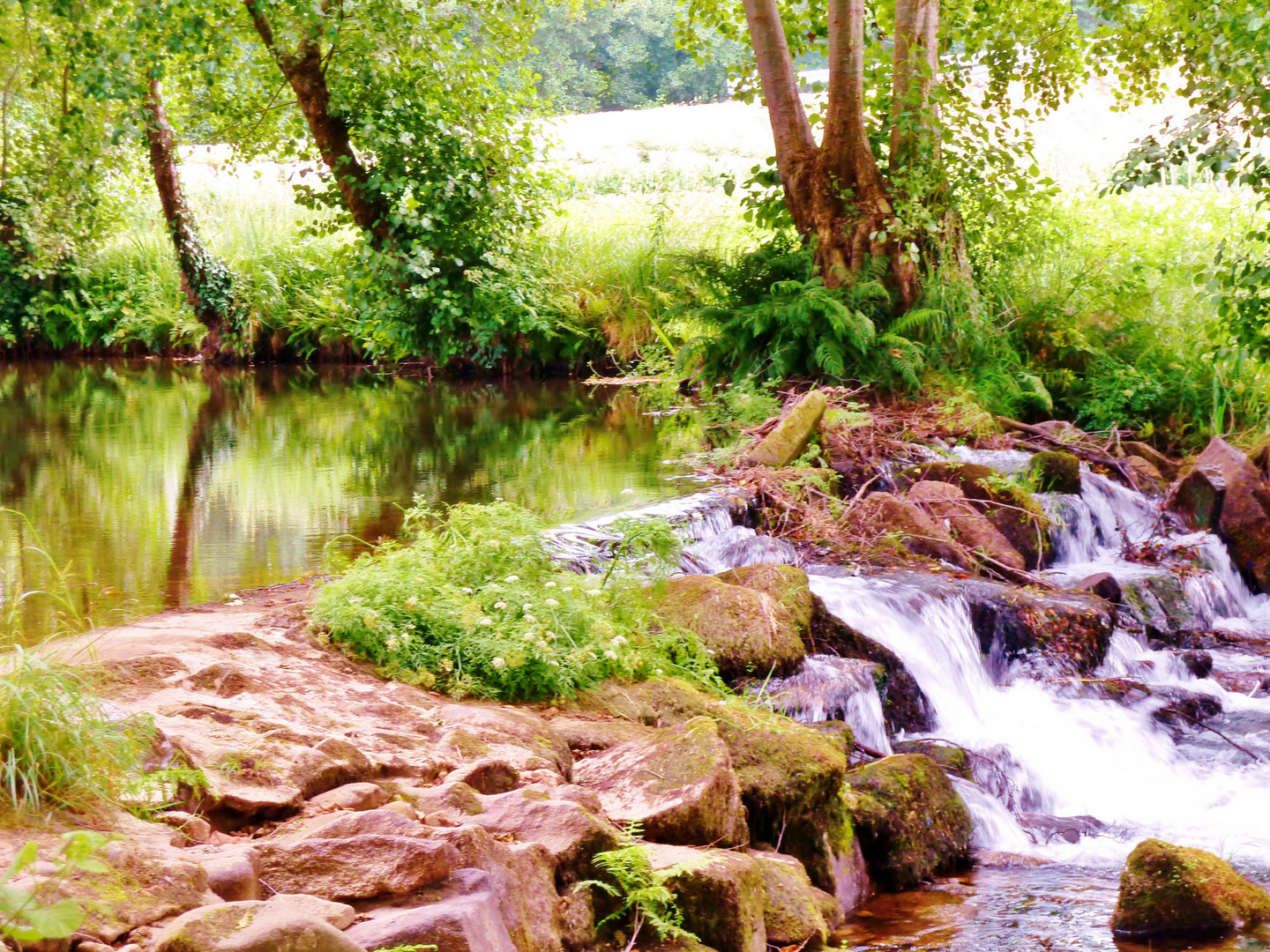 cascada tranquila