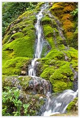 Cascada (Wasserfall)