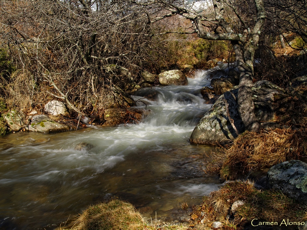 Cascadas