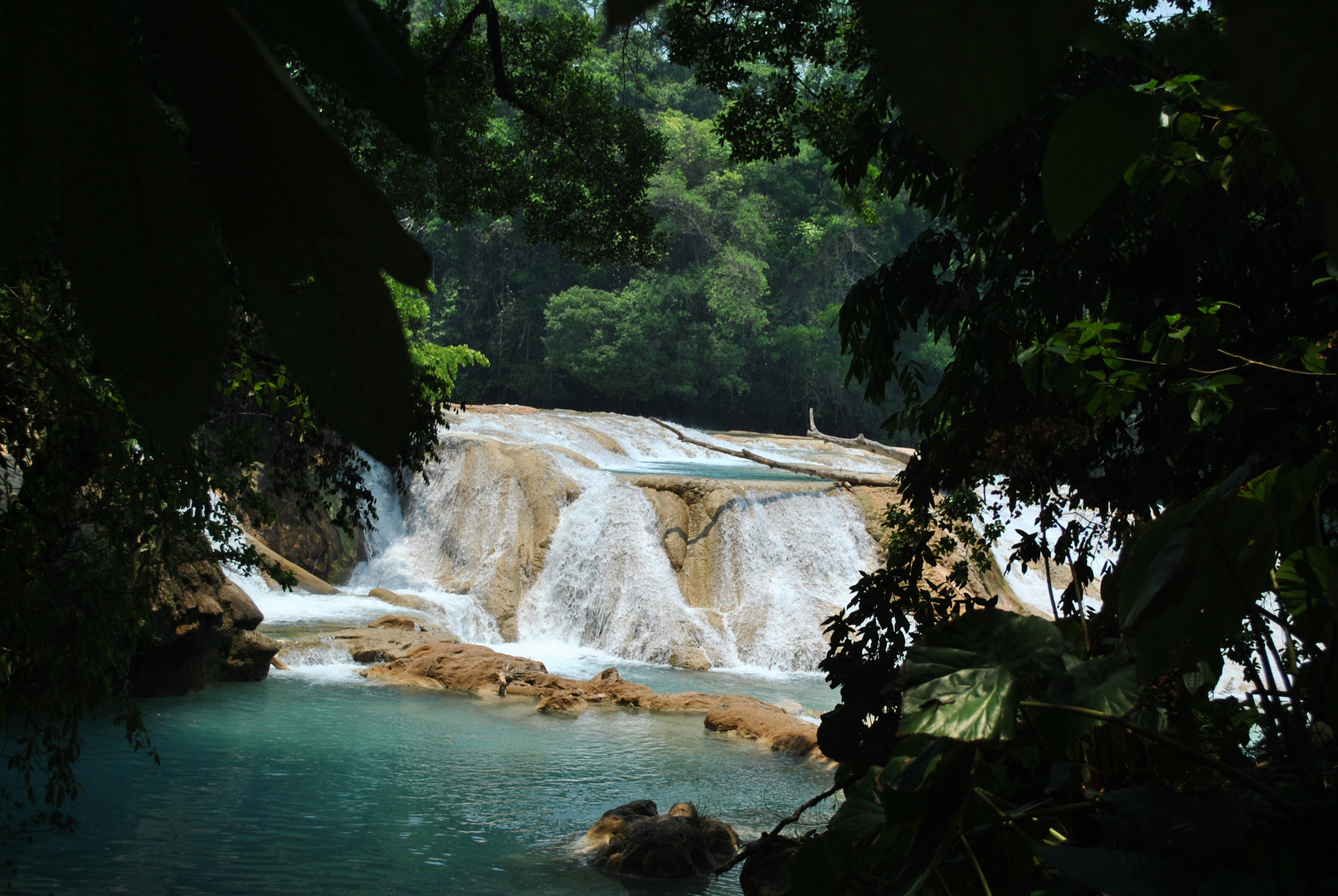 Cascadas de Agua Azul, Chiapas, Mexico