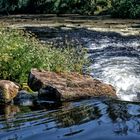 Cascadas en el Miño. Lugo.