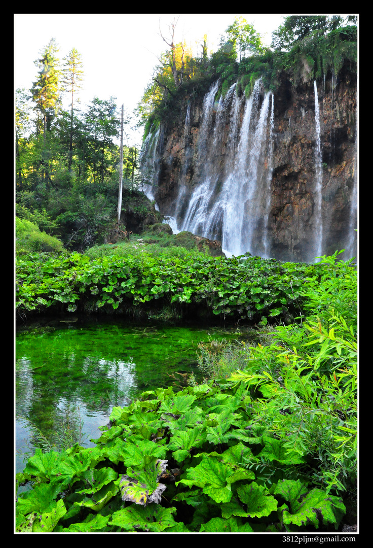 Cascadas vírgenes