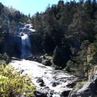 Cascade au Pont d'Espagne..1500 M d' Altitude