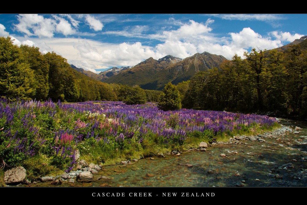 Cascade Creek , New Zealand