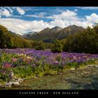 Cascade Creek , New Zealand