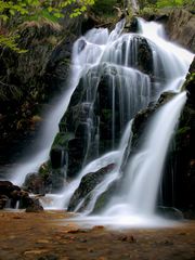 Cascade dans la Forêt-Noire