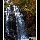 cascade dans les Vosges