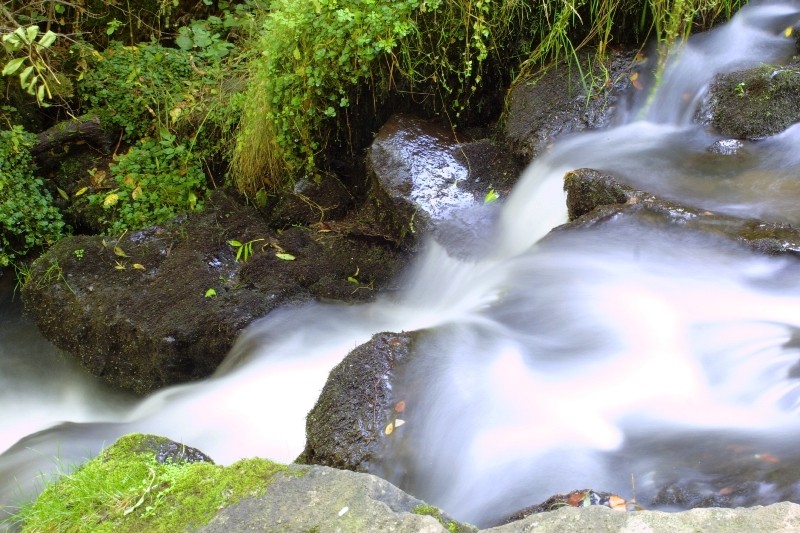 cascade de coton