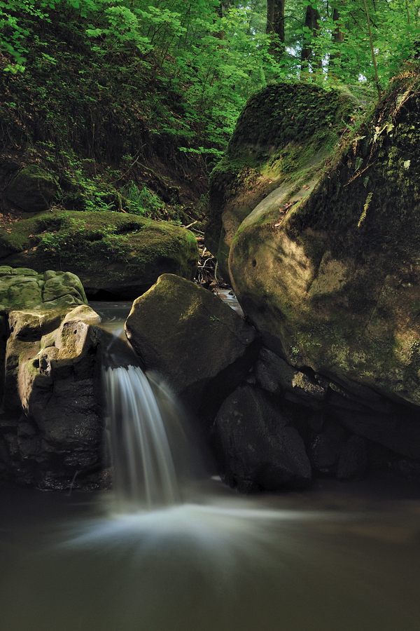 *Cascade de Ernz Noir*