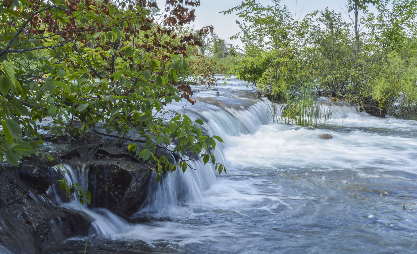 Cascade de fortune