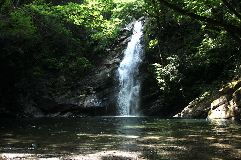 Cascade de la Bravona