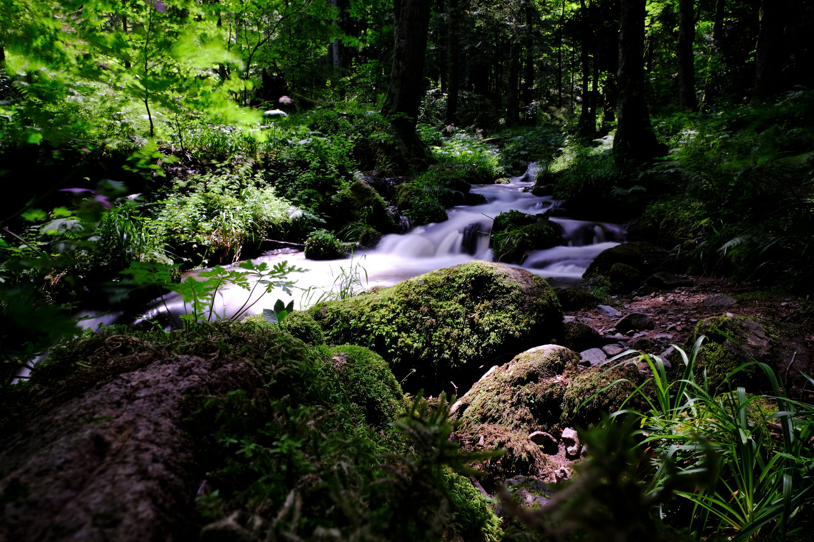 Cascade de la Serva