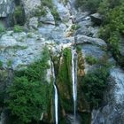 Cascade de l'Ucellunine _ Casta Verde