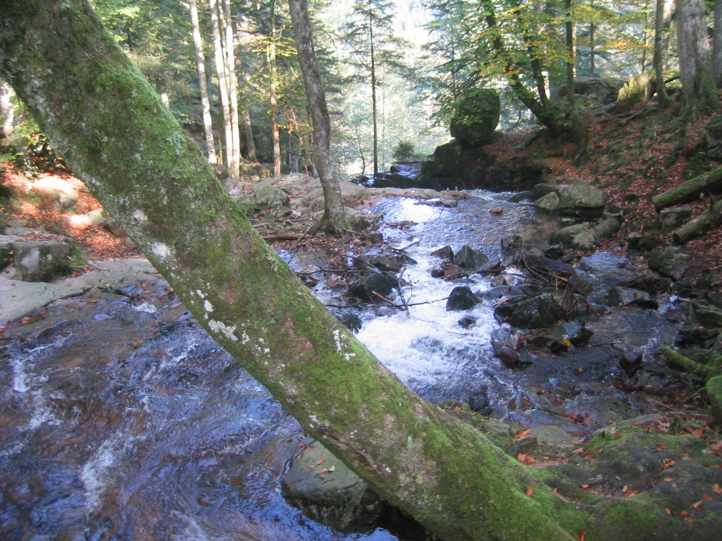 Cascade de Tendon