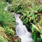 cascade des pyrennées